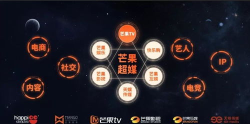 湖南广电旗下上市公司回应解约钱枫 非公司艺人，属互联网信息服务范畴